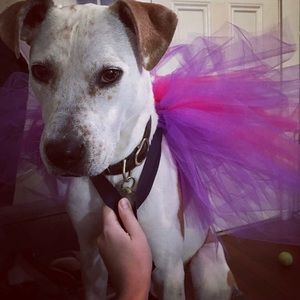 Meet your Posher, Steven